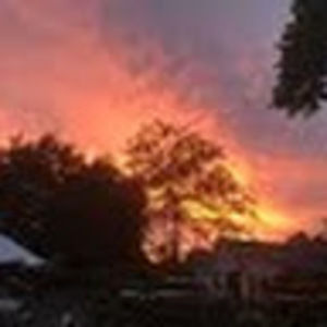 Meet your Posher, Olympia